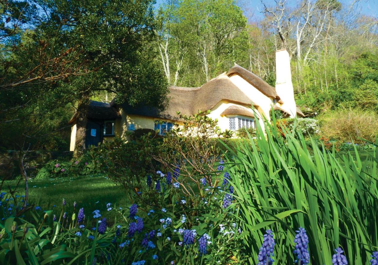Southcliffe B&B Lynton Zewnętrze zdjęcie